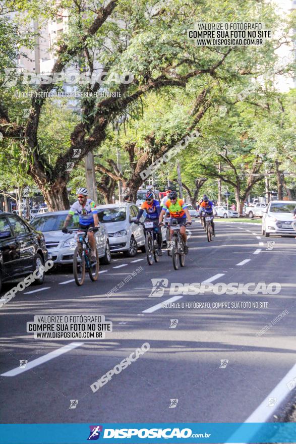 Rota das Catedrais 2022