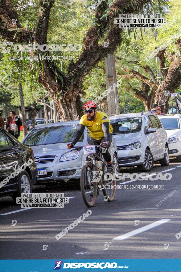 Rota das Catedrais 2022