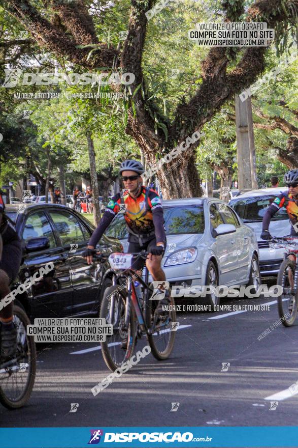 Rota das Catedrais 2022