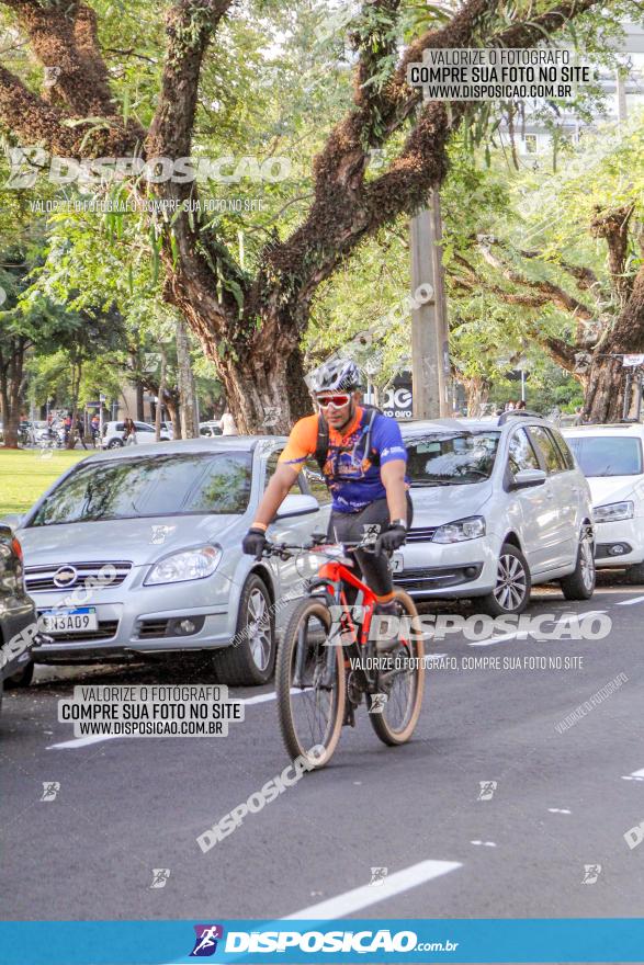 Rota das Catedrais 2022