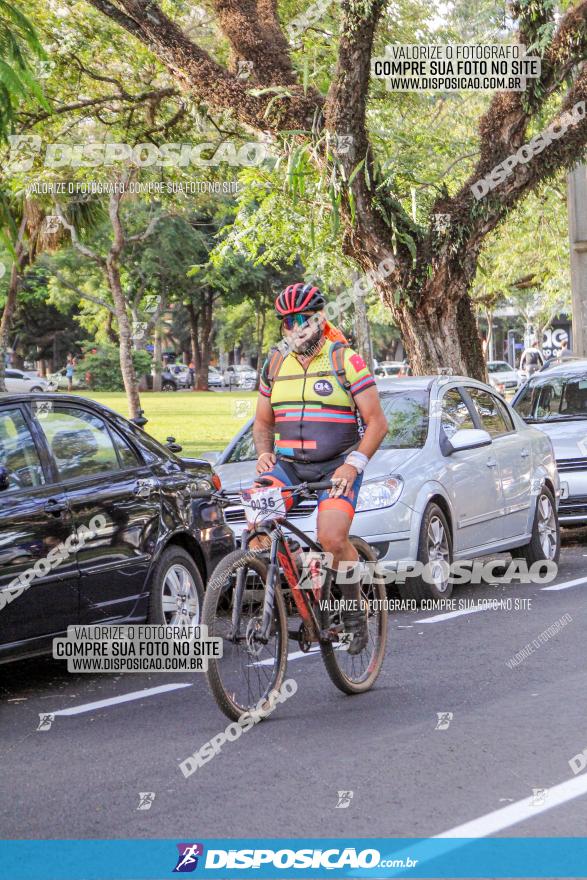 Rota das Catedrais 2022