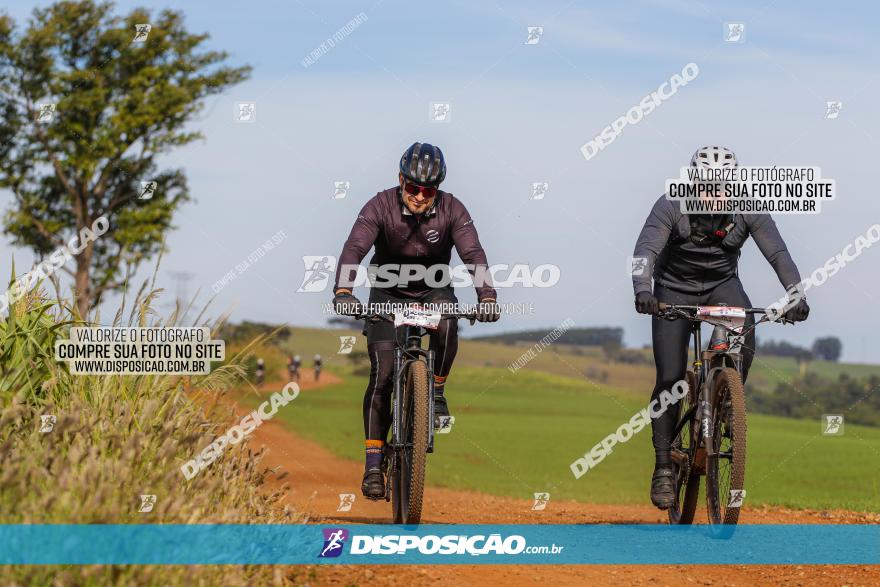 Rota das Catedrais 2022