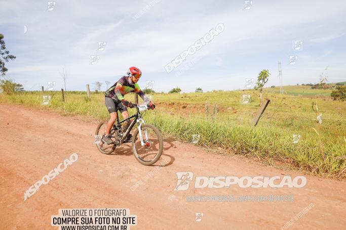 Rota das Catedrais 2022