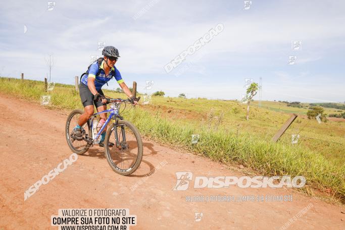 Rota das Catedrais 2022