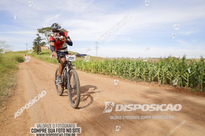 Rota das Catedrais 2022