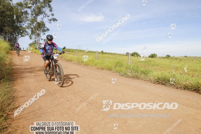 Rota das Catedrais 2022