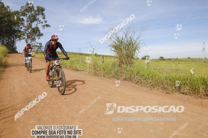 Rota das Catedrais 2022