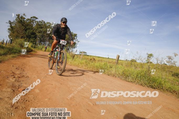 Rota das Catedrais 2022