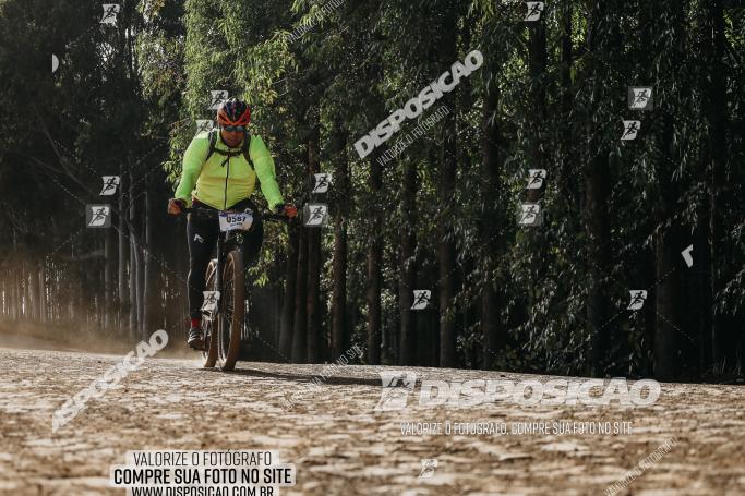 Rota das Catedrais 2022