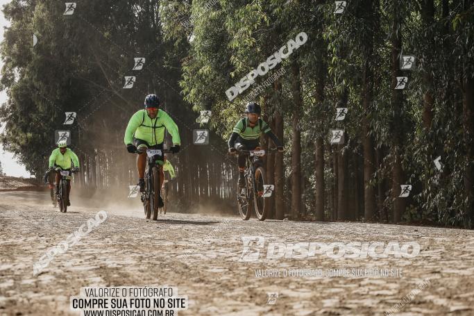 Rota das Catedrais 2022