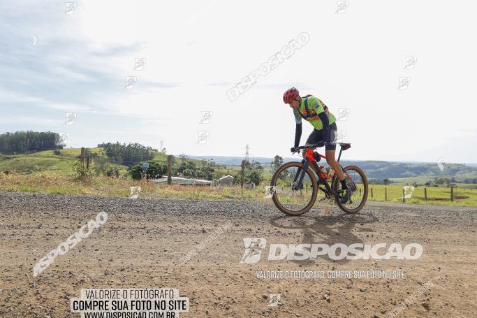 Rota das Catedrais 2022