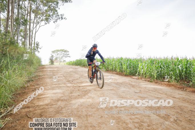 Rota das Catedrais 2022