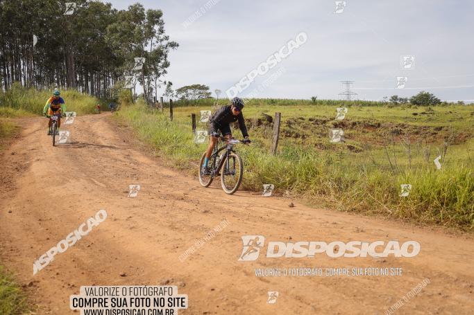 Rota das Catedrais 2022