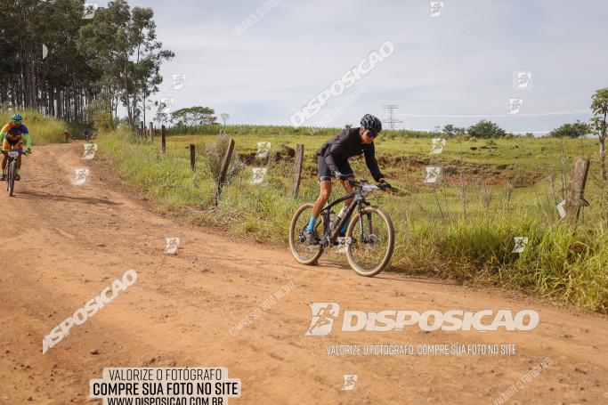 Rota das Catedrais 2022