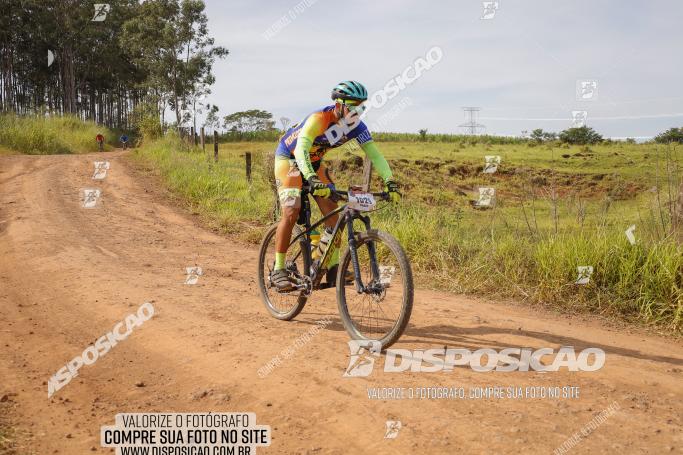 Rota das Catedrais 2022