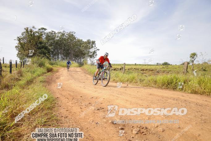 Rota das Catedrais 2022