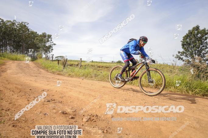 Rota das Catedrais 2022