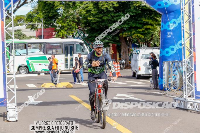 Rota das Catedrais 2022