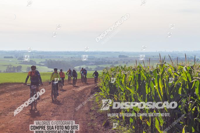 Rota das Catedrais 2022