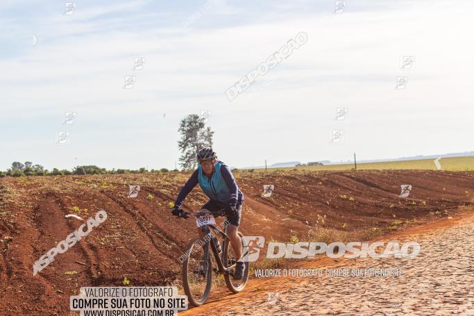 Rota das Catedrais 2022