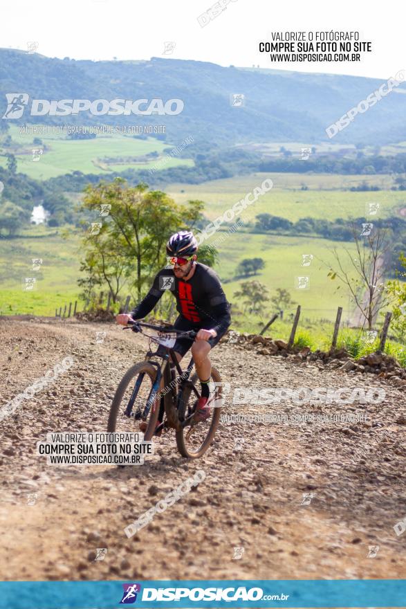 Rota das Catedrais 2022