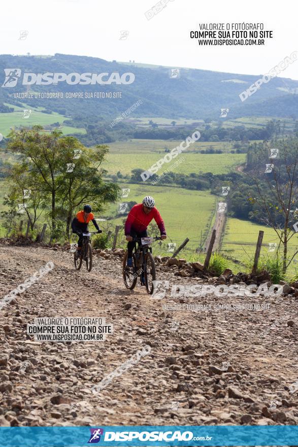 Rota das Catedrais 2022