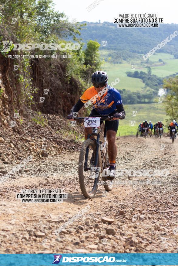 Rota das Catedrais 2022