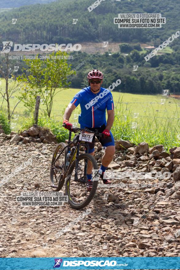 Rota das Catedrais 2022