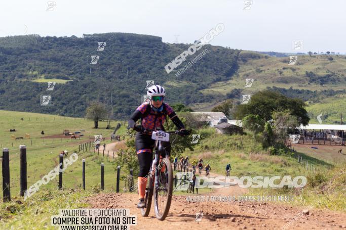 Rota das Catedrais 2022