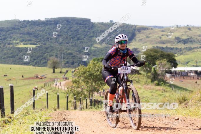 Rota das Catedrais 2022