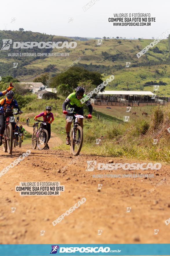 Rota das Catedrais 2022