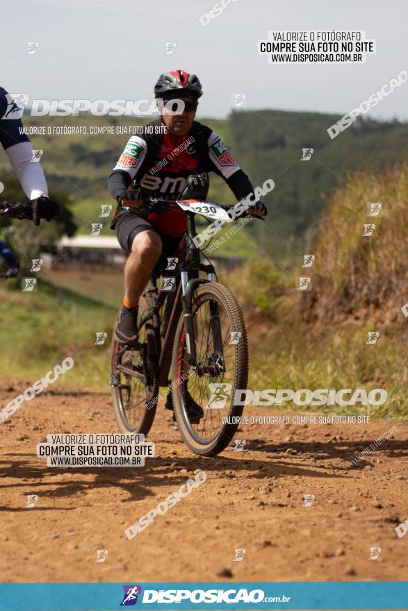 Rota das Catedrais 2022