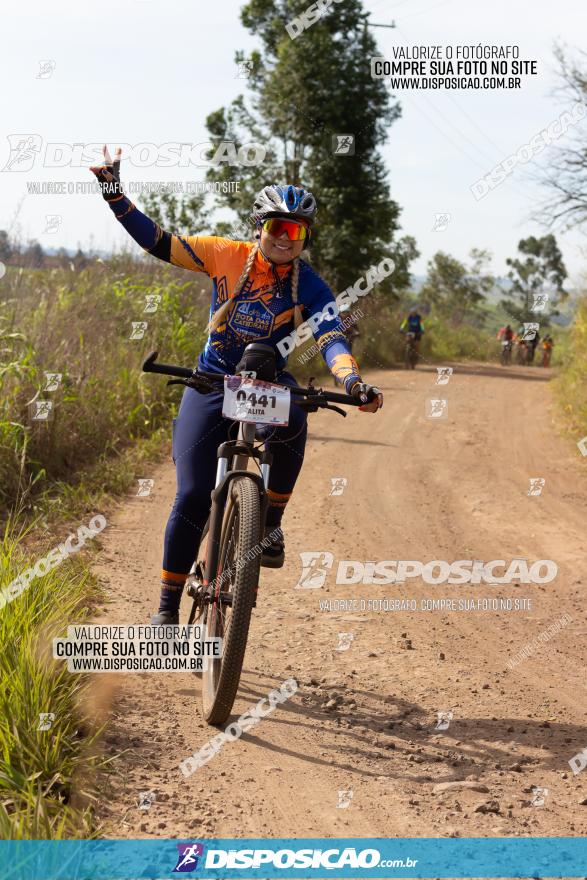 Rota das Catedrais 2022