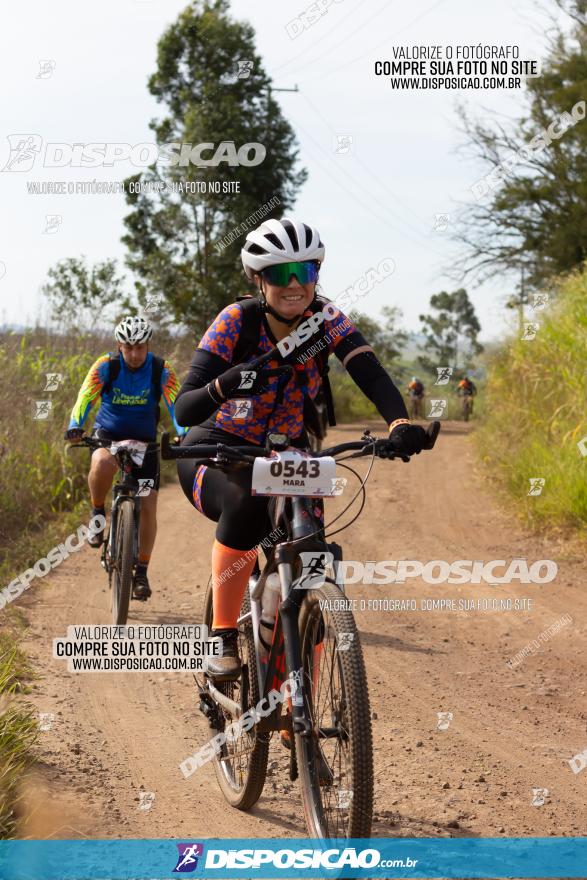 Rota das Catedrais 2022