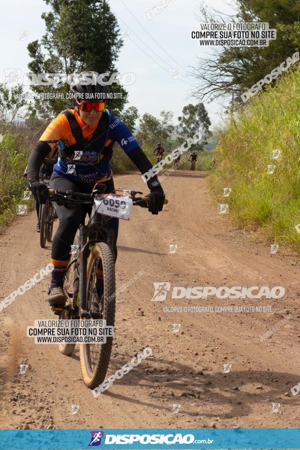 Rota das Catedrais 2022