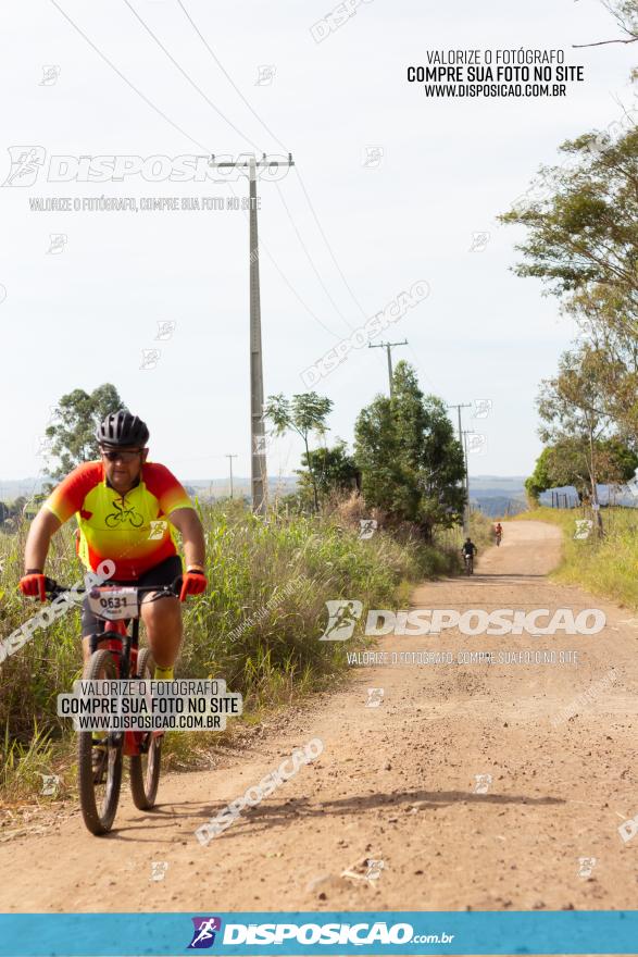 Rota das Catedrais 2022