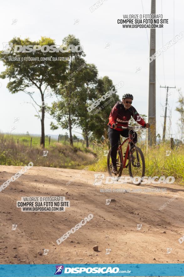 Rota das Catedrais 2022