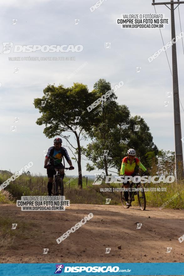 Rota das Catedrais 2022