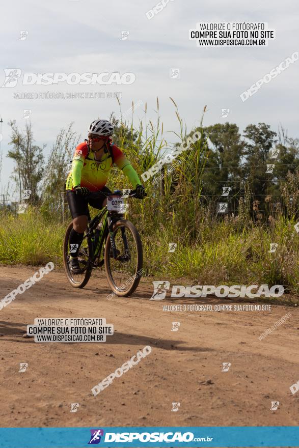 Rota das Catedrais 2022