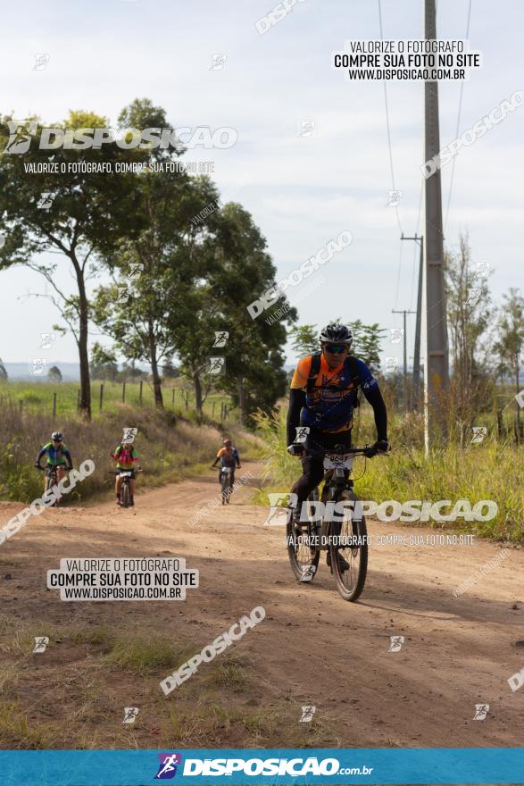 Rota das Catedrais 2022