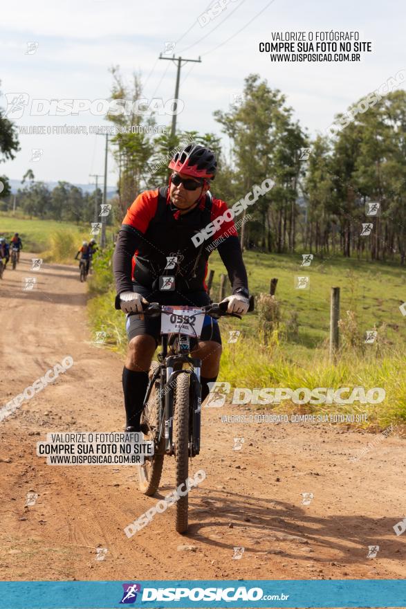 Rota das Catedrais 2022