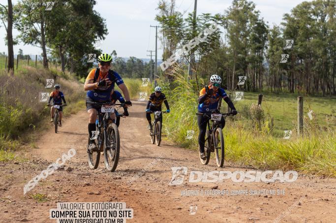 Rota das Catedrais 2022