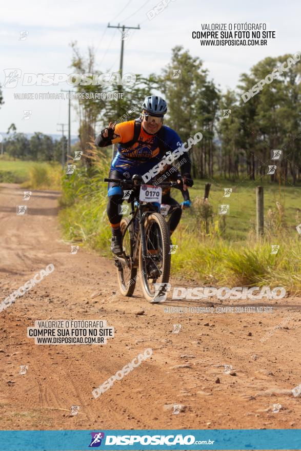 Rota das Catedrais 2022