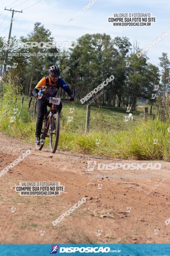 Rota das Catedrais 2022