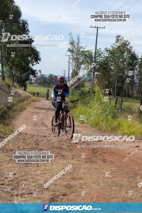 Rota das Catedrais 2022