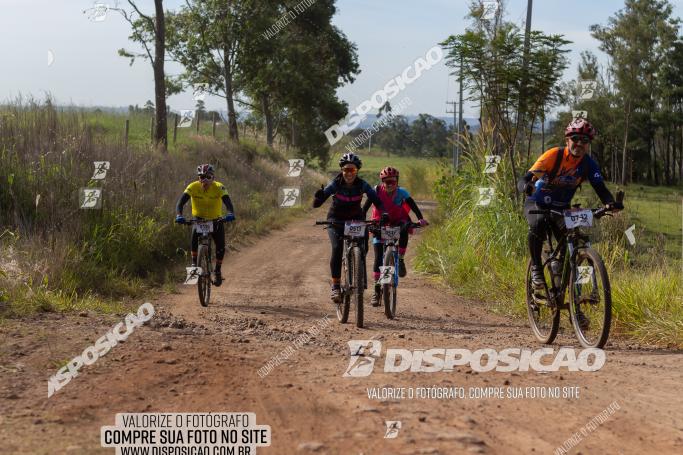 Rota das Catedrais 2022