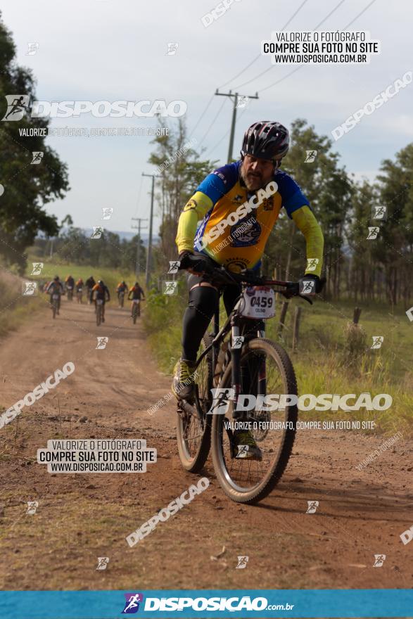 Rota das Catedrais 2022