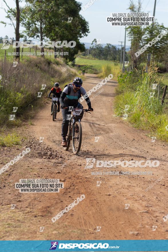 Rota das Catedrais 2022