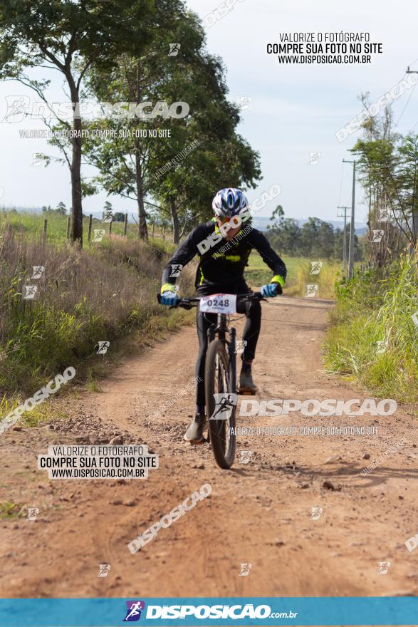 Rota das Catedrais 2022