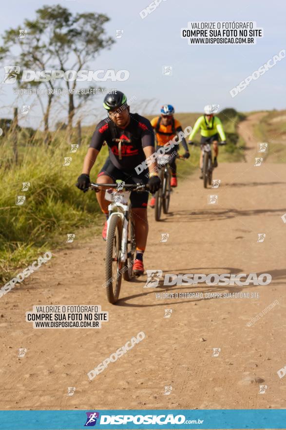 Rota das Catedrais 2022